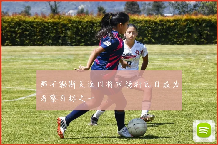 那不勒斯关注门将市场科瓦日成为考察目标之一