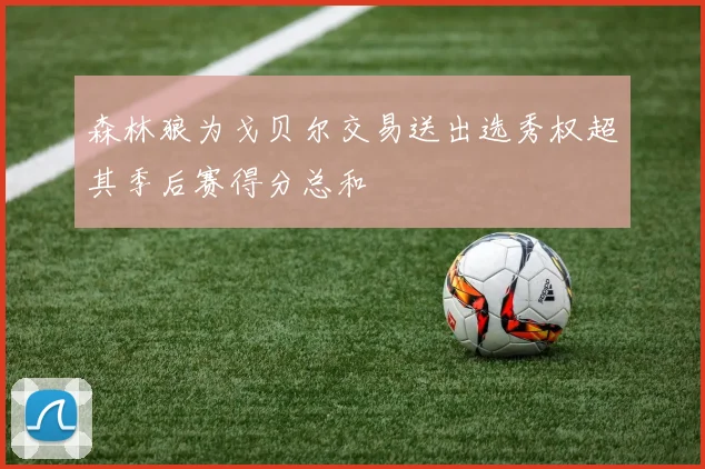 森林狼为戈贝尔交易送出选秀权超其季后赛得分总和