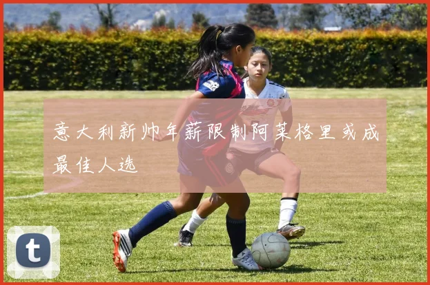 意大利新帅年薪限制阿莱格里或成最佳人选